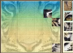 Animal Games, Animal Puzzle, Games-kids.com