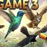 Animal Games, Bird Game 3, Games-kids.com