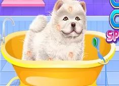 Animal Games, Chow Chow Spa Salon, Games-kids.com