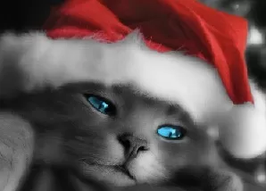 Christmas Games, Christmas Cat Puzzle, Games-kids.com