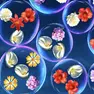 Puzzle Games, Flower Bubble Merge and Match, Games-kids.com