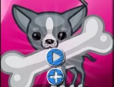 Animal Games, Funny Doggy Hidden Bones, Games-kids.com