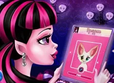 Monster High Games, Great Fynsygram Draculaura, Games-kids.com