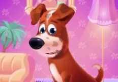 Animal Games, Homeless Puppy Care, Games-kids.com