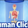 Boys Games, Human Clicker Grow Organs, Games-kids.com