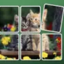 Puzzle Games, Jigmerge, Games-kids.com