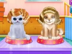 Animal Games, Kitty and Puppy Friendship, Games-kids.com