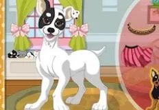 Animal Games, Lovely Dog Dress Up, Games-kids.com