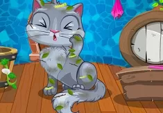 Makeover  Games, My Cute Cat Makeover, Games-kids.com