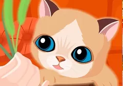Animal Games, My Sweet Cat, Games-kids.com