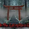 Adventure Games, NIGHT in the Aokigahara forest, Games-kids.com