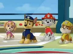 Paw Patrol Save the Day