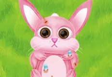 Animal Games, Pet Doctor Animal Care, Games-kids.com