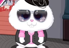 Animal Games, Pet Stars Snowball, Games-kids.com