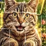 Puzzle Games, Puzzle Solitaire Mind Games, Games-kids.com