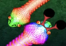 Boys Games, Real Snakes, Games-kids.com