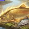 Fishing Games, River Fishing, Games-kids.com
