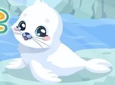Animal Games, Seal Care, Games-kids.com