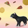 Animal Games, Swipe for the Cat, Games-kids.com