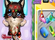 Doctor Games, Zoo Doctor, Games-kids.com