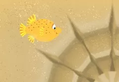 Splash and Bubbles Games